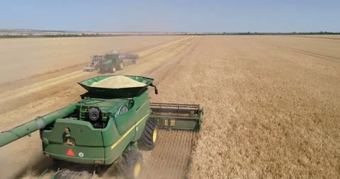 Harvesting by combines 15 Stock Footage 106115388