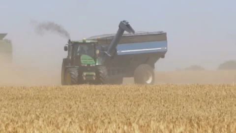 Harvesting by combines 22 Stock Footage 106116340