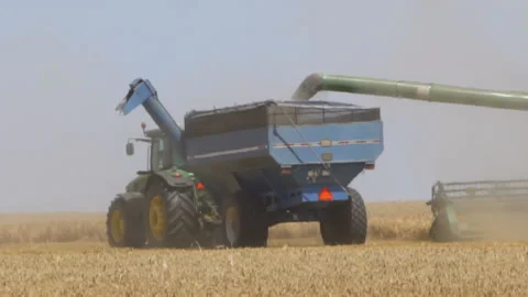 Harvesting by combines 23 Stock Footage 106116170