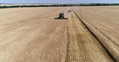 Harvesting by combines 25 Stock Footage 106117261