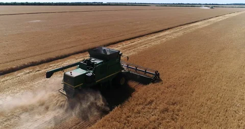 Harvesting by combines 28 Stock Footage 106118002