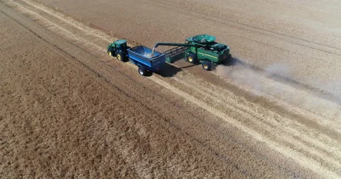 Harvesting by combines 30 Stock Footage 106118519