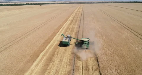 Harvesting by combines 32 Stock Footage 106118969