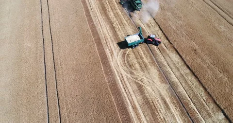Harvesting by combines 33 Stock Footage 106119009