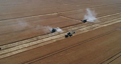 Harvesting by combines 34 Stock Footage 106119860