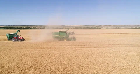 Harvesting by combines 35 Stock Footage 106119175