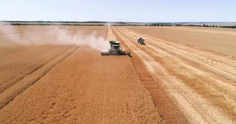 Harvesting by combines 36 Stock Footage 106119387