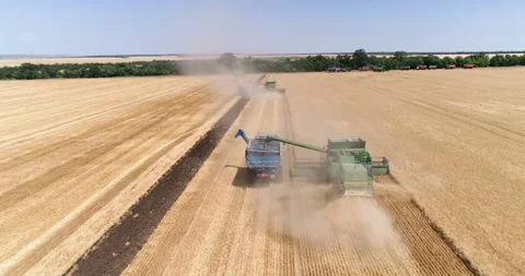 Harvesting by combines 39 Stock Footage 106120618