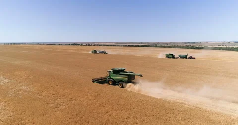 Harvesting by combines 4 Stock Footage 106120398