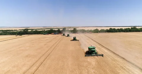 Harvesting by combines 40 Stock Footage 106120659