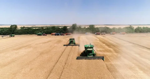 Harvesting by combines 41 Stock Footage 106120920
