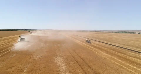 Harvesting by combines 44 Stock Footage 106121344