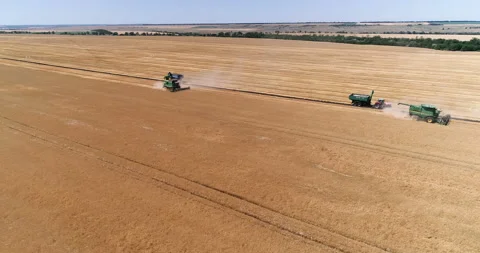 Harvesting by combines 5 Stock Footage 106121555