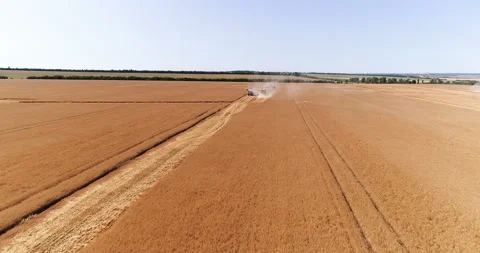 Harvesting by combines 6 Stock Footage 106121813