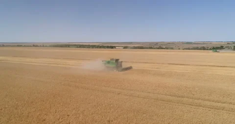 Harvesting by combines 7 Stock Footage 106121728