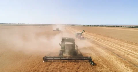 Harvesting by combines 8 Stock Footage 106121904