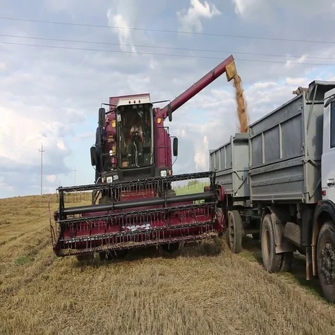 Harvesting combines in the field Stock Footage 69535061