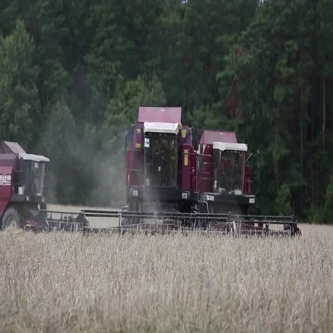 Harvesting combines in the field Stock Footage 69536041