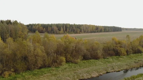 Harvesting corn with a combine in the fall Stock-Footage 118582551