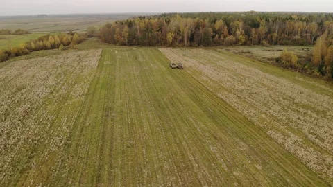 Harvesting corn with a combine in the fall Stock Footage 118582736