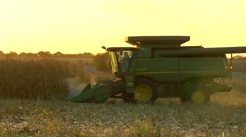 Harvesting corn with combine Stock-Footage 957158