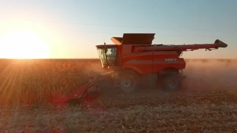 Harvesting Corn at Dusk Stock-Footage 163476065