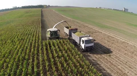 Harvesting on a corn field Stock Footage 62810862
