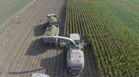 Harvesting on a corn field Video stock 62810984