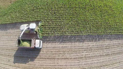 Harvesting on a corn field Video stock 62811257