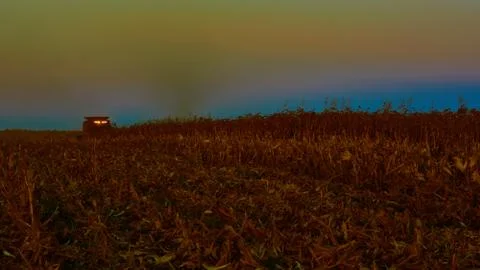 The harvesting of corn fields with combine Stockfoto's
