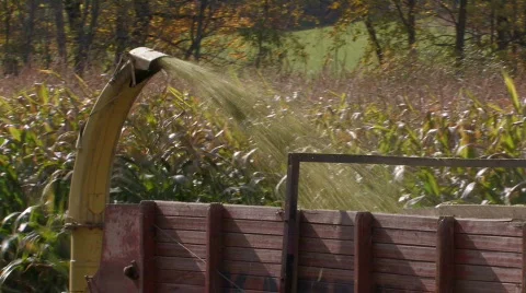 Harvesting Corn Stock Footage 270835