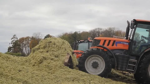Harvesting of corn Stock Footage 87652754