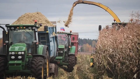 Harvesting of corn Stock Footage 87652803