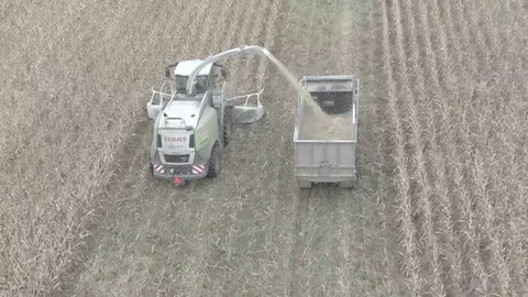 Harvesting Corn Vídeos de archivo 117991018
