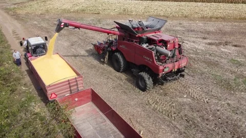 Harvesting corn Stock Footage 254436063