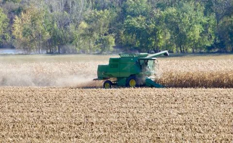 Harvesting the Corn Stock Photos