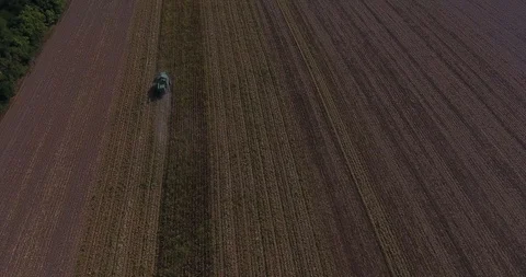Harvesting corn top view Stock Footage 96025269