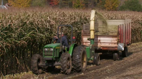 Harvesting the Cornfield Video stock 270834