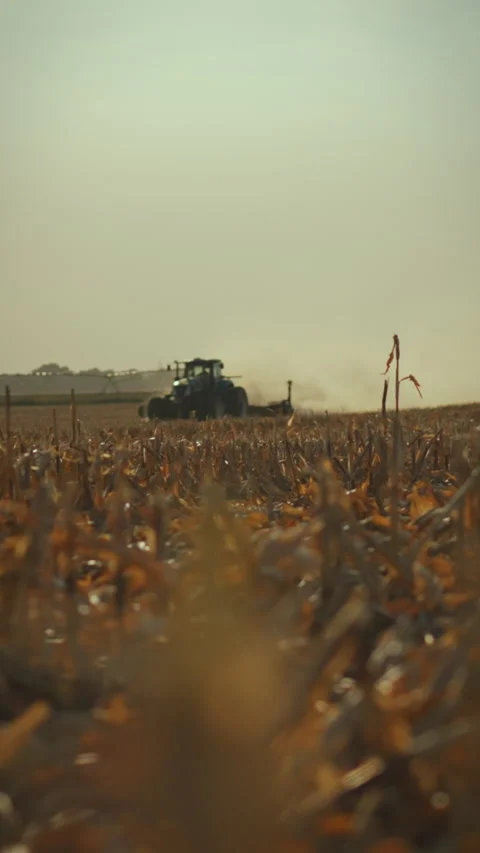 Harvesting crop fields at sunset with tractor working in the background Stock Footage 331592990