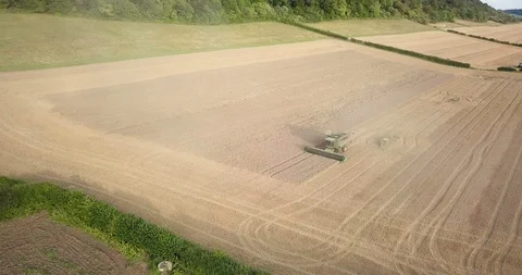 Harvesting crops 4K Stock Footage 89835664
