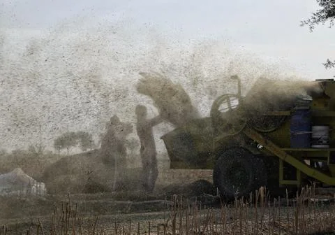 Harvesting crops Stock Photos