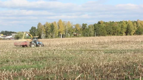 Harvesting Equipment in the Work Stock Footage 46341992