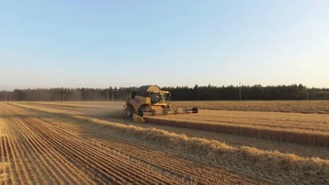 Harvesting in field 4k Stock Footage