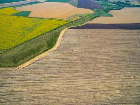Harvesting in the field. Aerial view. A Lot of Land Harvesting in the fiel... Stock Photos