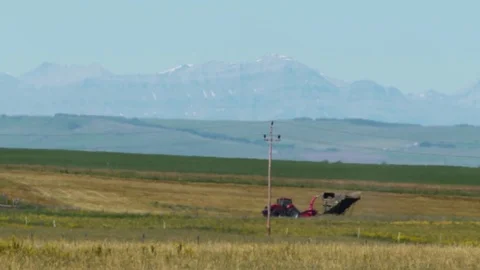 Harvesting  from the field Stock Footage 79549079