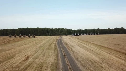 Harvesting on the field Stock Footage 90684314
