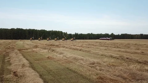 Harvesting on the field Stock Footage 90684391