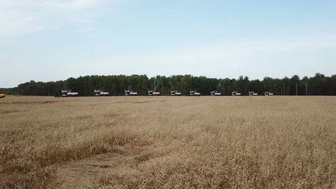 Harvesting on the field Stock Footage 90684458