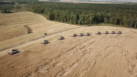 Harvesting on the field Stock Footage 90684552