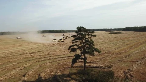 Harvesting on the field Stock Footage 90684761